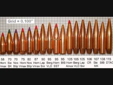 .243 Winchester Types