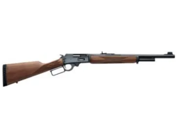 .45-70 Government Trivia