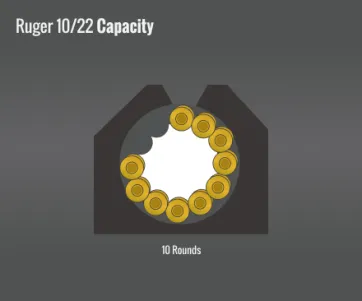 Ruger 10/22 Capacity