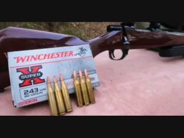 .243 Winchester Trivia