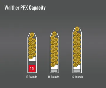 Walther Ppx Capacity