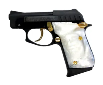 Taurus Pt22 Fit-N-Finish