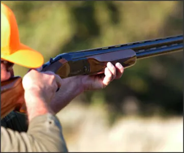 Weatherby Orion Ergonomics