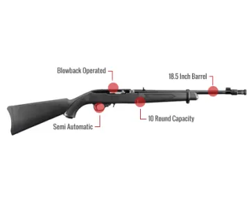 Ruger 10/22 Feature