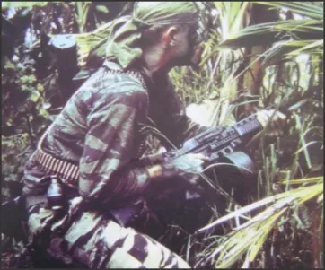 Stoner 63 Mobility