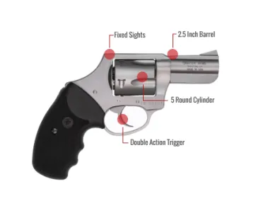 Charter Arms Bulldog Feature