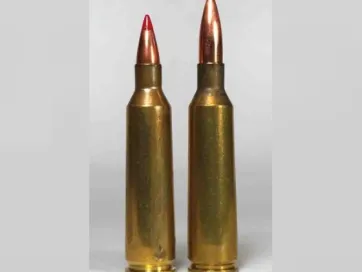 .22-250 Remington Trivia