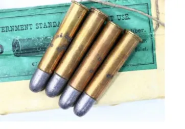 .45-70 Government History