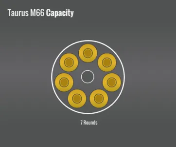 Taurus M66 Capacity