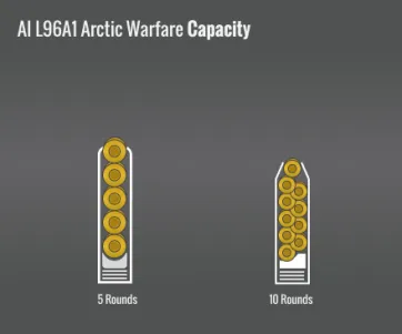Accuracy International L96A1 Arctic Warfare Capacity