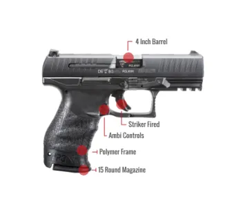Walther Ppq M1 Feature