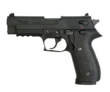 Sig Sauer Mosquito Ergonomics