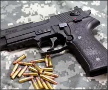 Sig Sauer Mosquito Fit-N-Finish