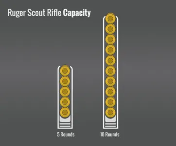 Ruger Scout Rifle Capacity