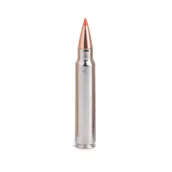 .416 Remington Magnum