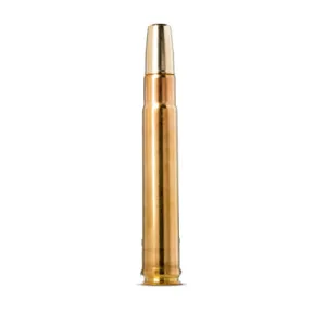 .416 Weatherby Magnum