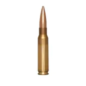 .308 Winchester (7.62mm NATO)