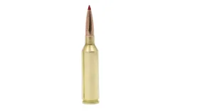 .308 Winchester (7.62mm NATO)