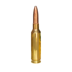 .30 Remington AR