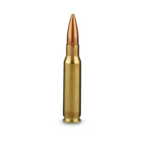 .308 Winchester (7.62mm NATO)