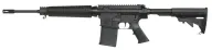 ArmaLite AR-10 DEF10