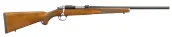 Ruger American Rimfire