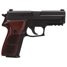 SIG Sauer P229 W229-9-SP