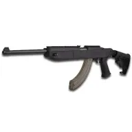 Ruger 10/22 1284
