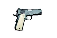 Kimber Classic Carry Pro