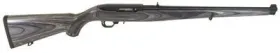 Ruger 10/22 1133