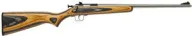 Crickett Single Shot 22 Long Rifle W/stainless Barrel/black/