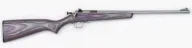 Crickett Single Shot 22 Long Rifle W/stainless Barrel/purple