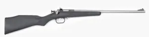 Crickett 22 Long Rifle Single Shot 16 1/8" Stainless Barrel