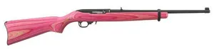 Ruger 10/22 1184