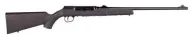 Savage Arms A22 Magnum