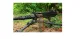 Palmetto State Armory