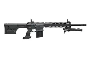 DPMS GII SASS