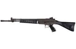 Beretta AR-70/223