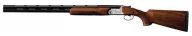 B Rizzini Vertex