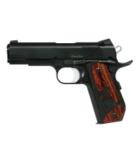 CZ Guardian