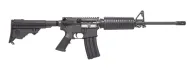 DPMS Raptor