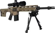 DPMS REPR