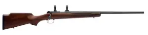 Kimber 22 HS