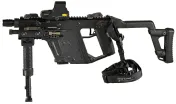 KRISS Vector image