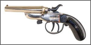Rossi Garrucha 8-22