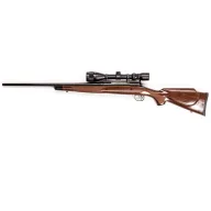 Savage Arms Model 114