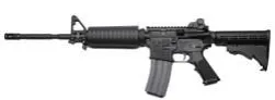 Stag Arm 2L