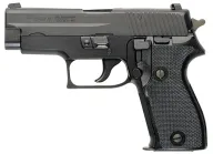 SIG Sauer P6
