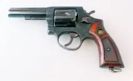 Taurus M84
