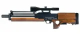 Walther WA 2000